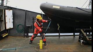 whale wars 0123