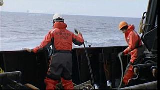 whale wars 0128