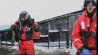 whale wars 0207