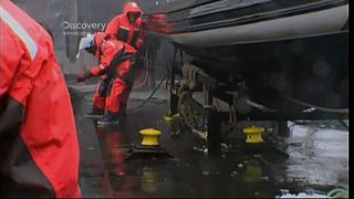 whale wars 0208
