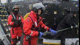 whale wars 0209