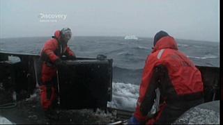 whale wars 0212