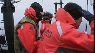 whale wars 0214