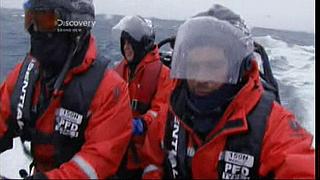 whale wars 0215