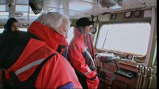 whale wars 0219