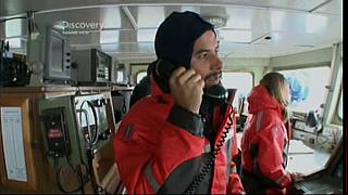 whale wars 0221
