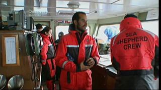 whale wars 0225