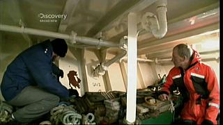 whale wars 0247