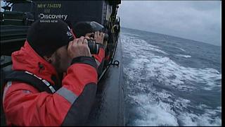 whale wars 0301