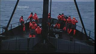 whale wars 0305
