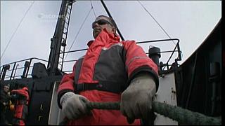 whale wars 0315