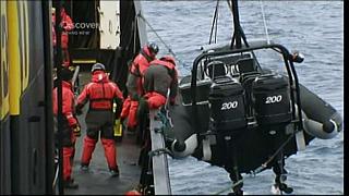 whale wars 0321