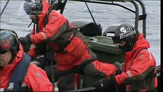 whale wars 0322