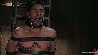 BOUNDGODS 0020