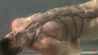 BOUNDGODS 0046