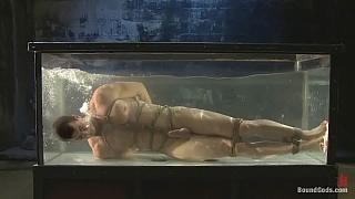 BOUNDGODS 0049