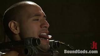 BOUNDGODS 0228