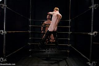 BOUNDGODS 0488