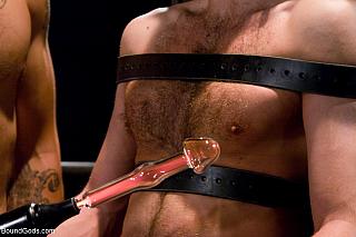 BOUNDGODS 0584