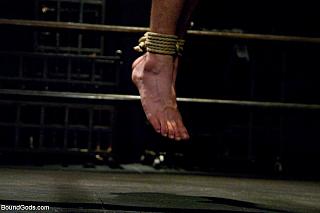 BOUNDGODS 0643