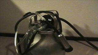 milking 01