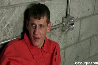 PR 0006