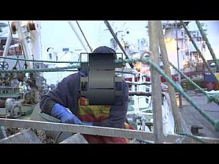 The Business of Fishing (2013)