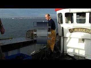 Lobster Fishing of the East Coast of England