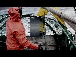 Helly Hansen Workwear