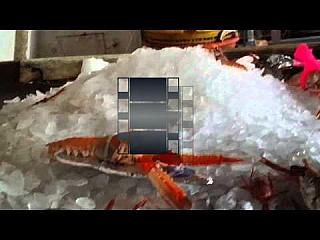 Skaterprawn
