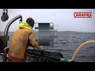 Lobster fishing in Lysekil, Sweden with LL91