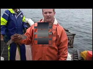 A Day On a PEI Lobster Boat
