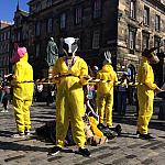 yellow 047