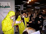 yellow 062
