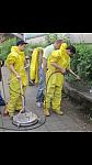 yellow 094
