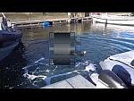 drysuit slow movie
