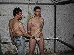 slavepupsdotcom216