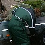 DICKIES PADDED GREEN 03