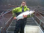 Fladen Blue Yellow 21