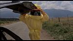 BACK TO FUTURE 0-29
