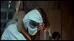 Fortress 37 
