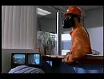 innerspace-23