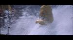 THE PERFECT STORM-47