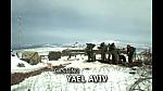 YOSSI 003