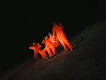 BSUIT ORANGE 0011