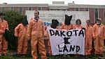 DISP ORANGE 0013