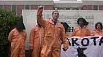 DISP ORANGE 0018