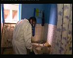 TYVEK WHITE 0066