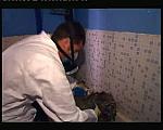 TYVEK WHITE 0067