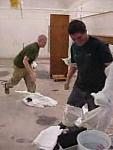 TYVEK WHITE 0131